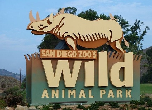 Парк диких животных в Сан Диего